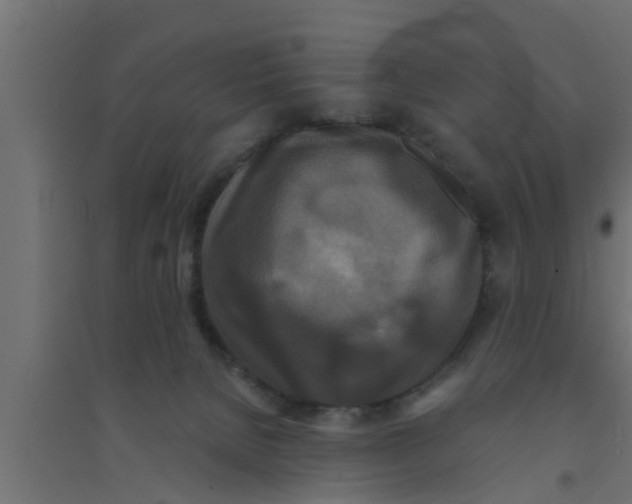 X0000094230080200711241754