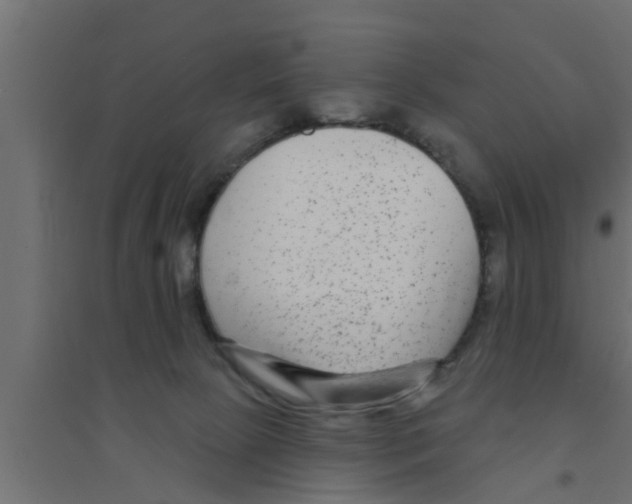X0000094230081200711241754
