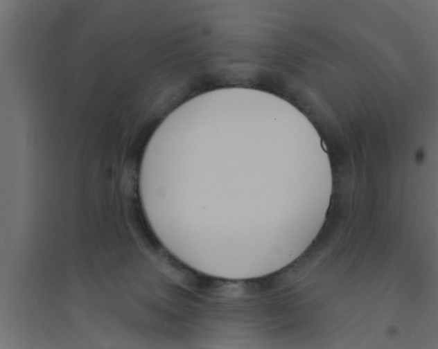 X0000094230083200711241754