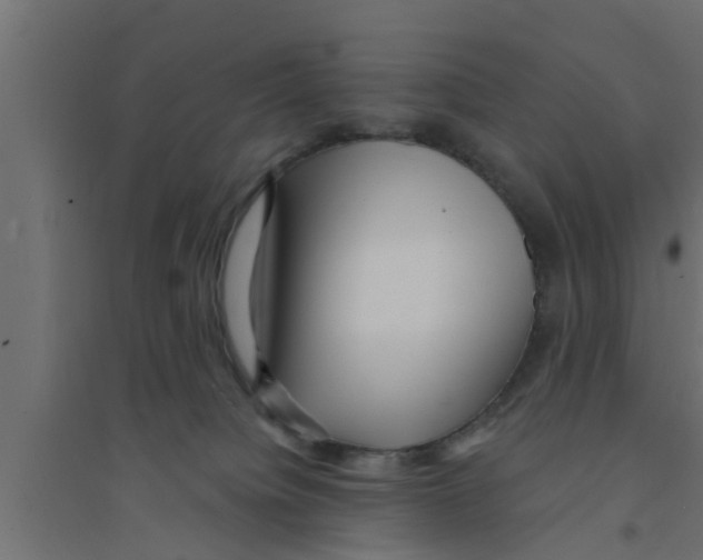 X0000094230084200711241754