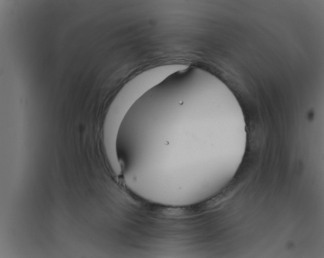 X0000094230085200711241754