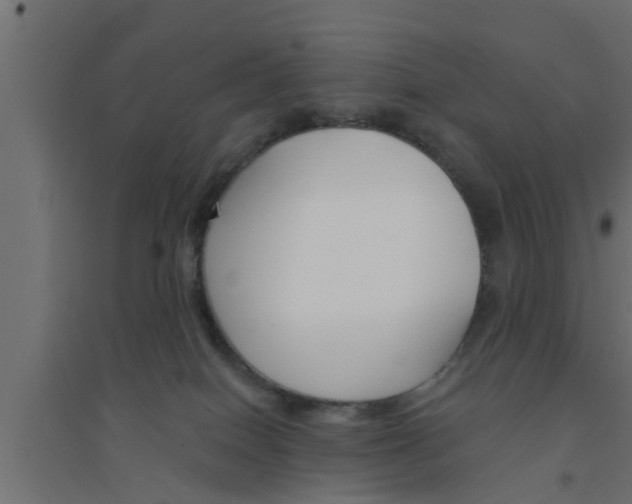 X0000094230086200711241754