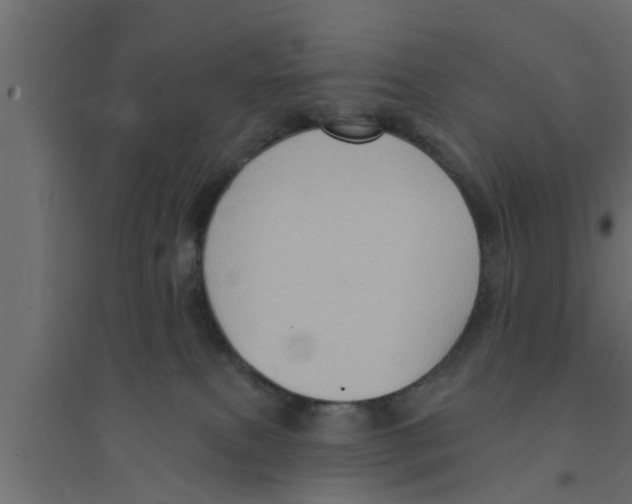 X0000094230087200711241754