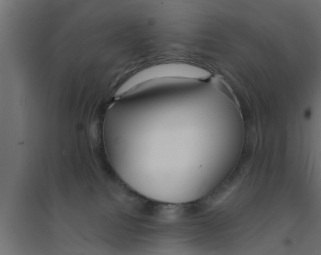X0000094230088200711241754