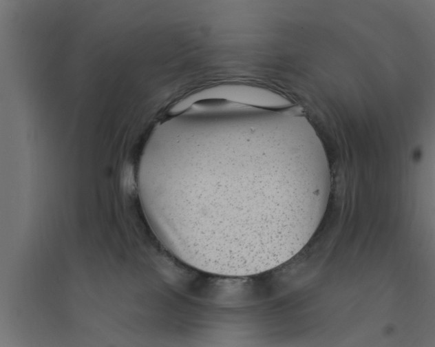 X0000094230089200711241754