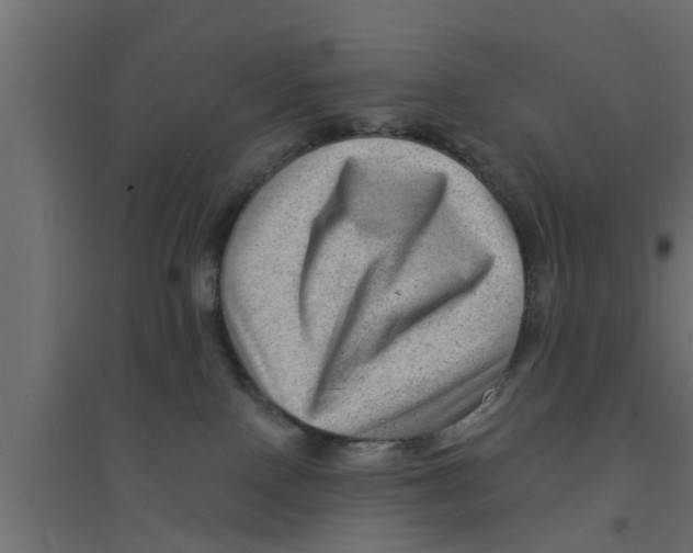 X0000094230090200711241754
