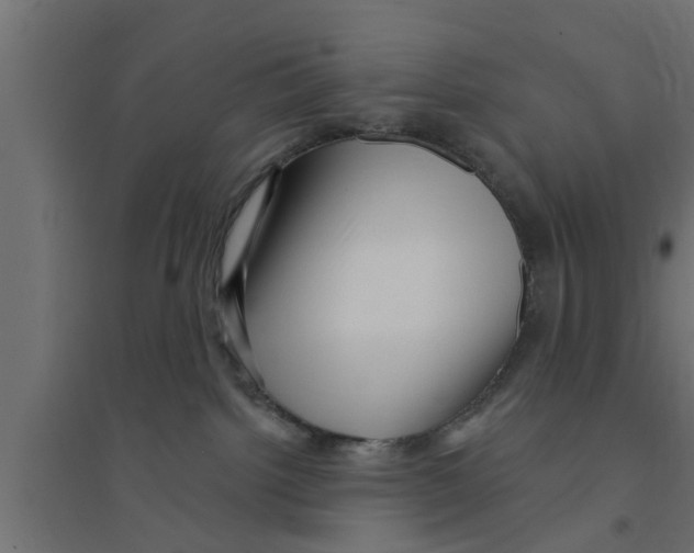 X0000094230092200711241754