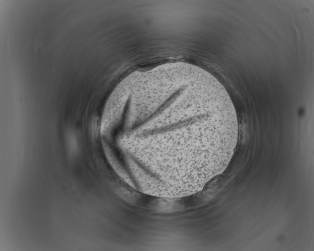 X0000094230093200711241754