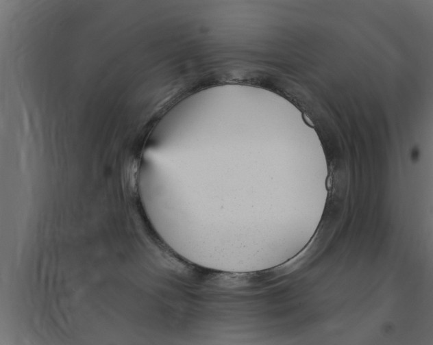 X0000094230094200711241754