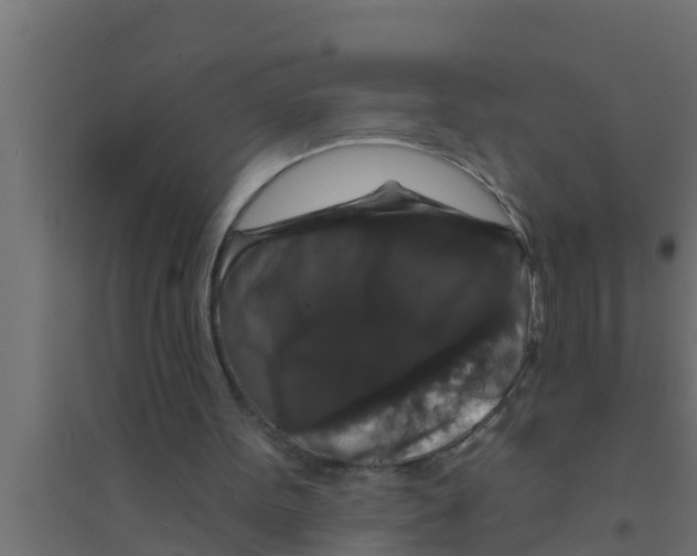 X0000094230099200711241754
