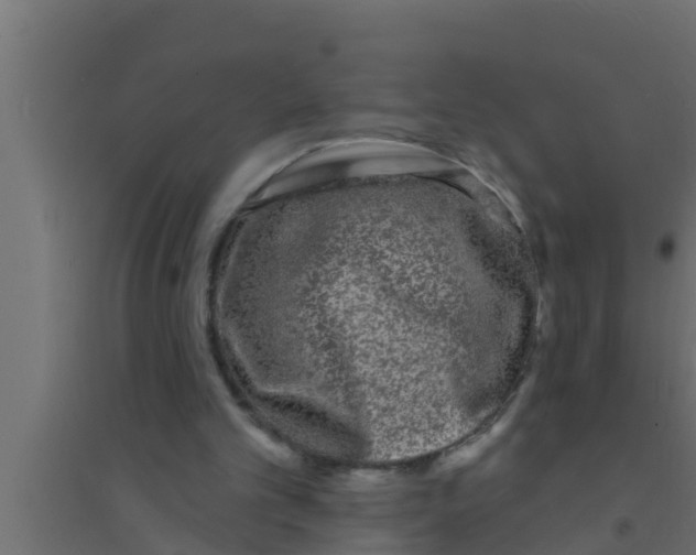 X0000094230101200711241754