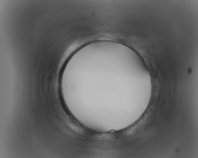 X0000094230102200711241754