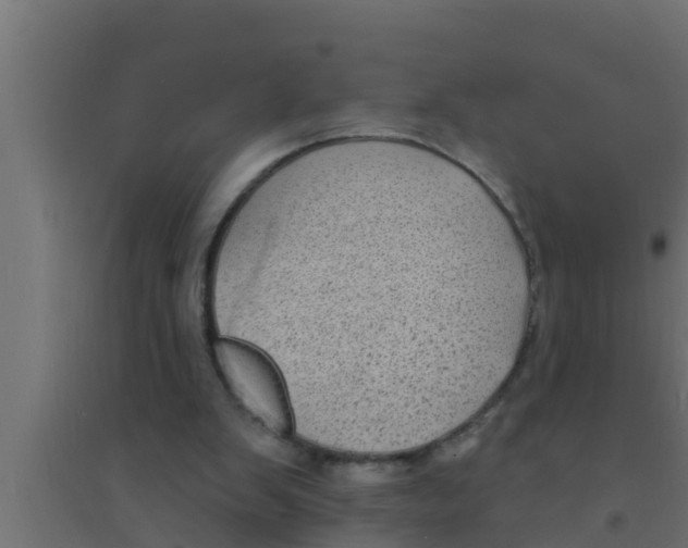 X0000094230103200711241754
