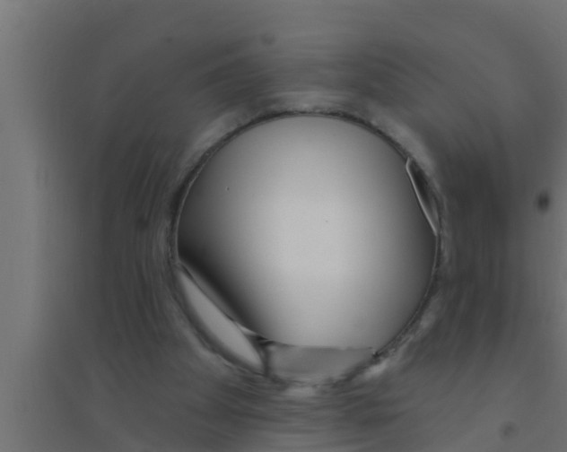 X0000094230105200711241754