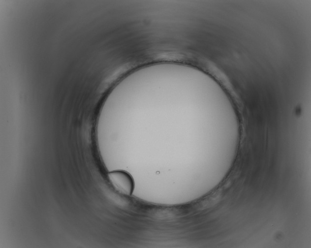 X0000094230106200711241754