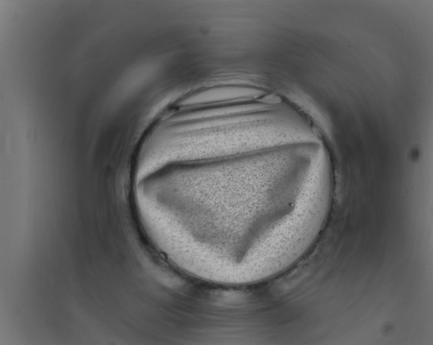 X0000094230107200711241754