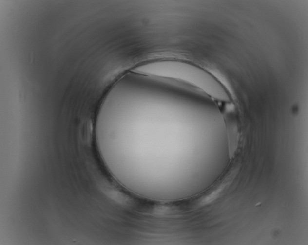 X0000094230109200711241754