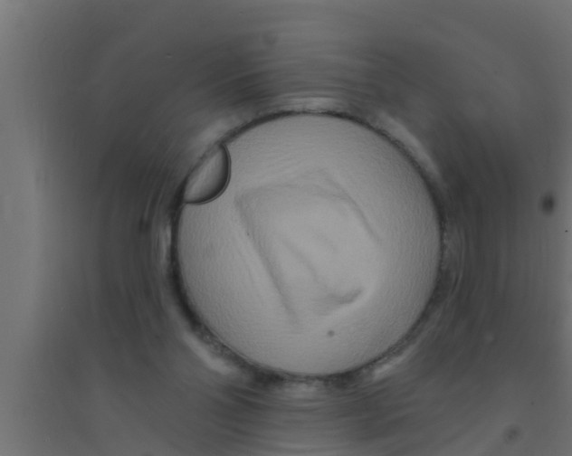 X0000094230110200711241754