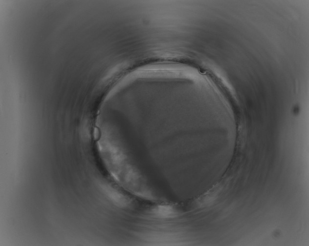 X0000094230114200711241754