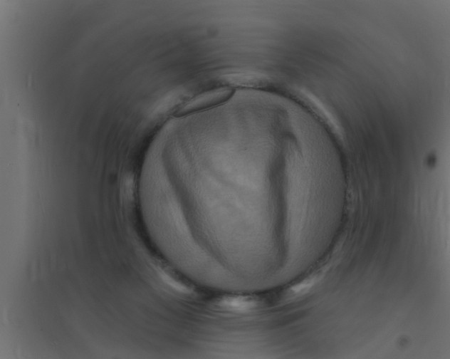 X0000094230117200711241754