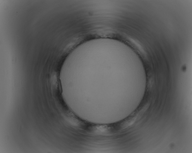 X0000094230121200711241754