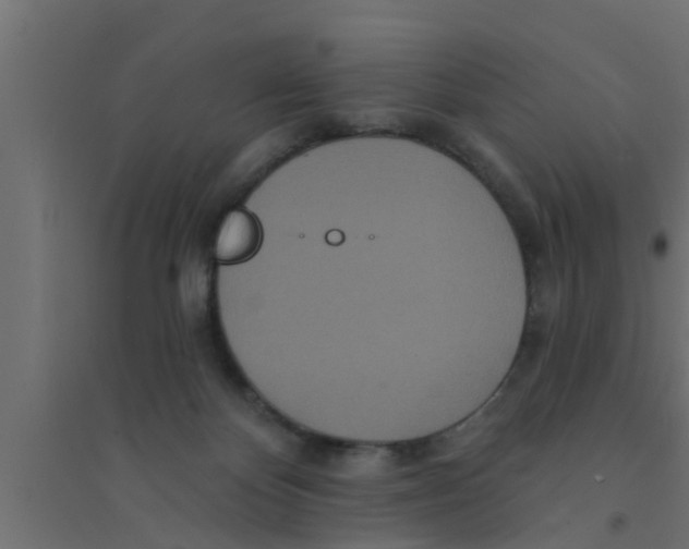X0000094230124200711241753