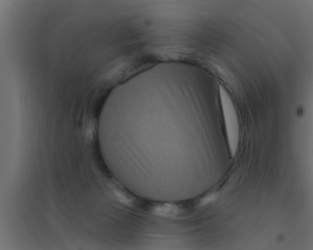 X0000094230125200711241753