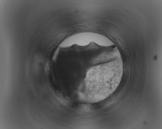 X0000094230127200711241753