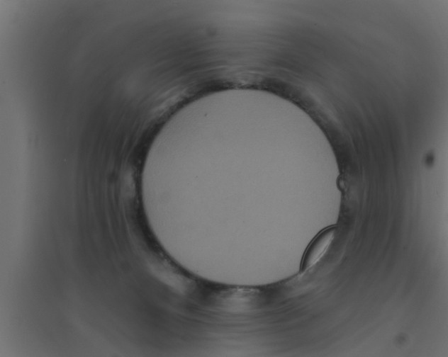 X0000094230128200711241753