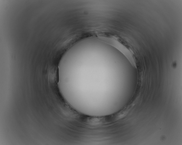 X0000094230129200711241753