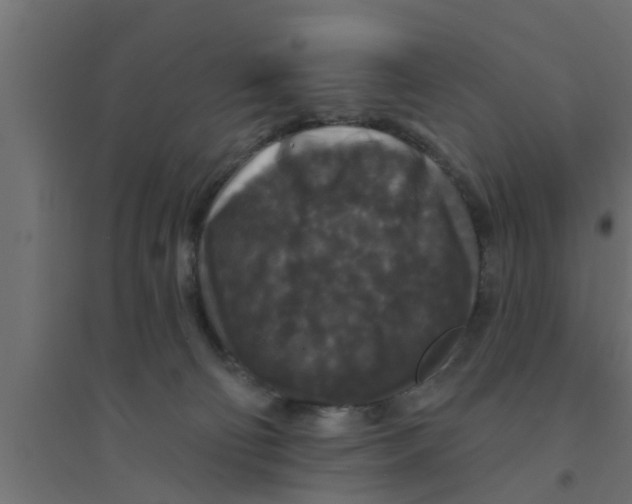 X0000094230130200711241753