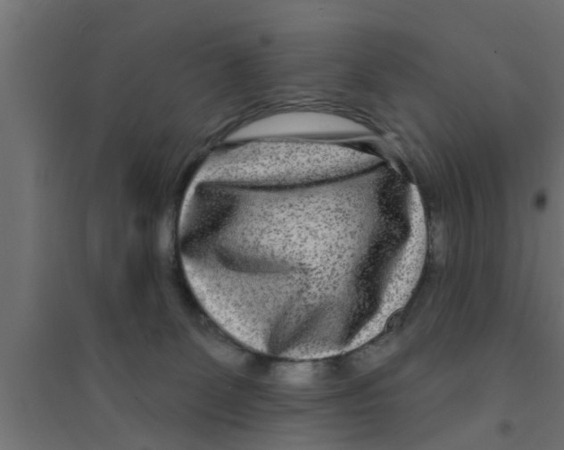 X0000094230131200711241753