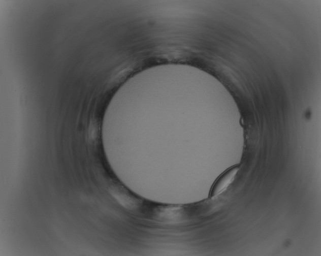 X0000094230132200711241753