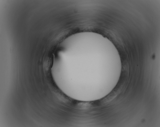 X0000094230133200711241753
