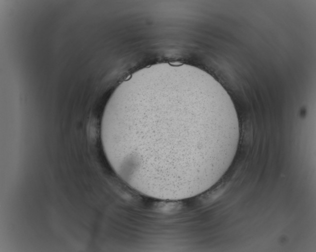 X0000094230135200711241753