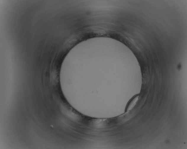X0000094230136200711241753