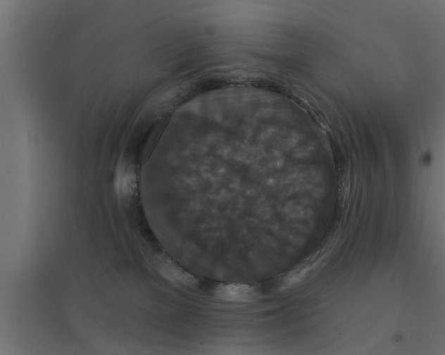 X0000094230137200711241753