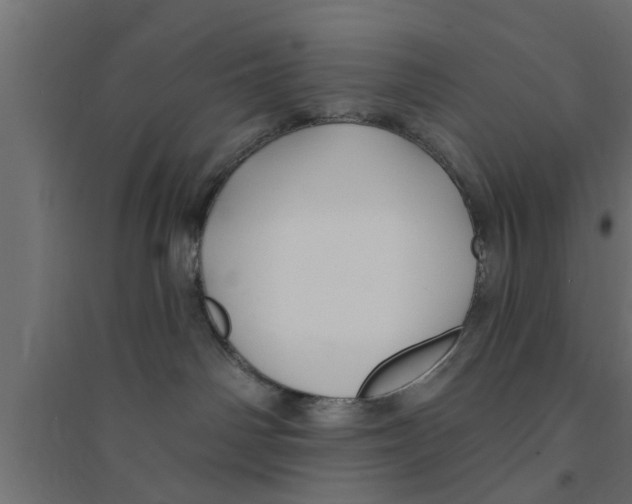 X0000094230142200711241753