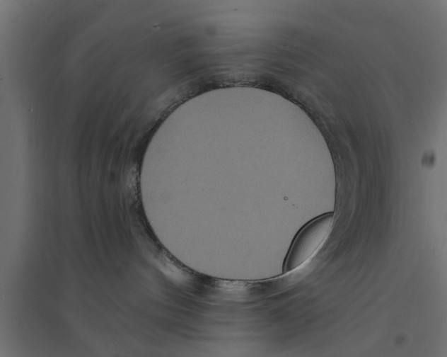 X0000094230144200711241753