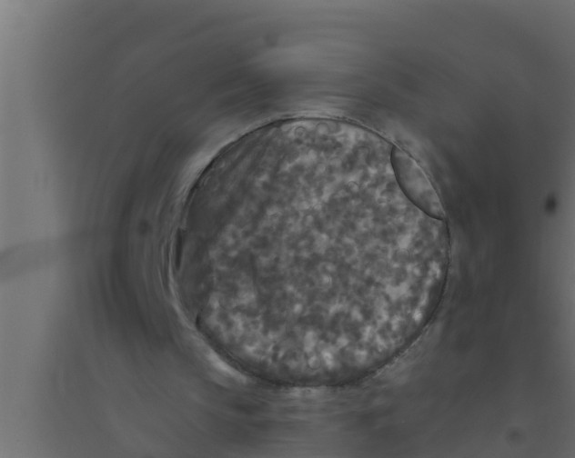 X0000094230145200711241752