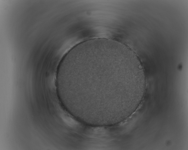 X0000094230146200711241752
