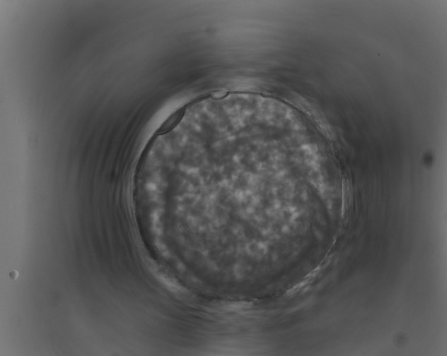 X0000094230147200711241752