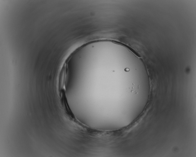 X0000094230148200711241752
