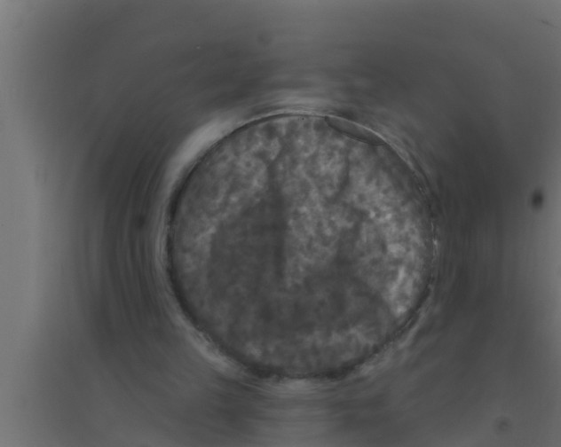X0000094230149200711241752