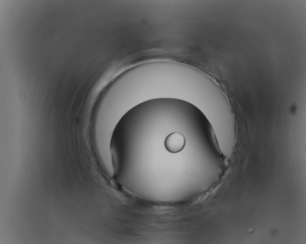 X0000094230150200711241752