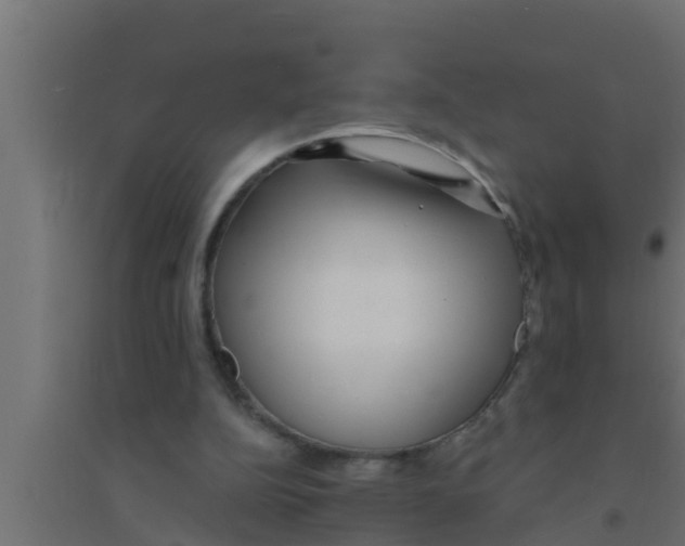 X0000094230152200711241752