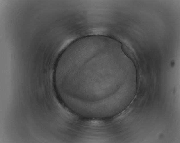 X0000094230154200711241752
