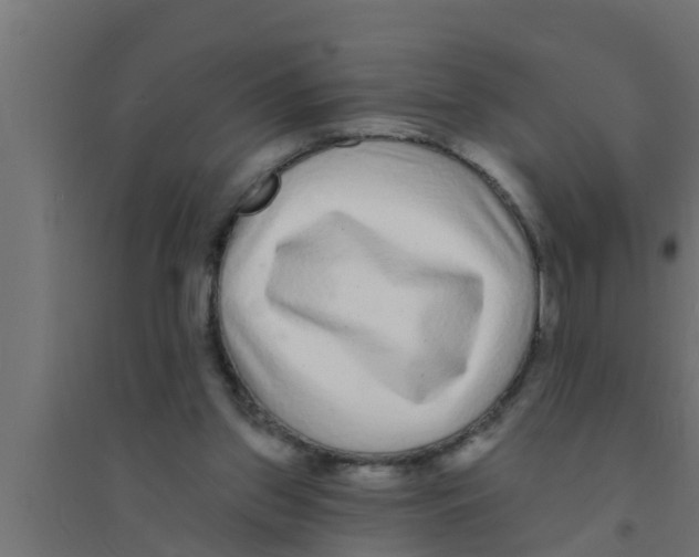 X0000094230157200711241753