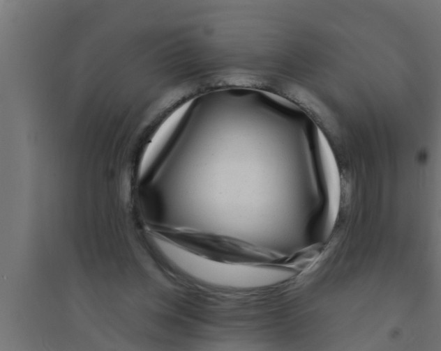 X0000094230158200711241753