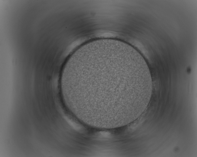 X0000094230159200711241753
